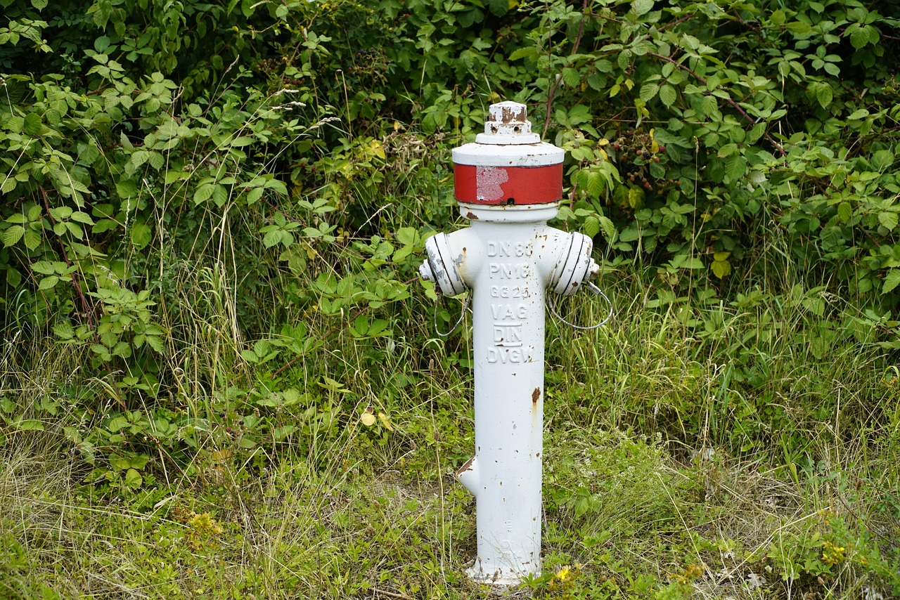 Emergency Preparedness for People with Disabilities